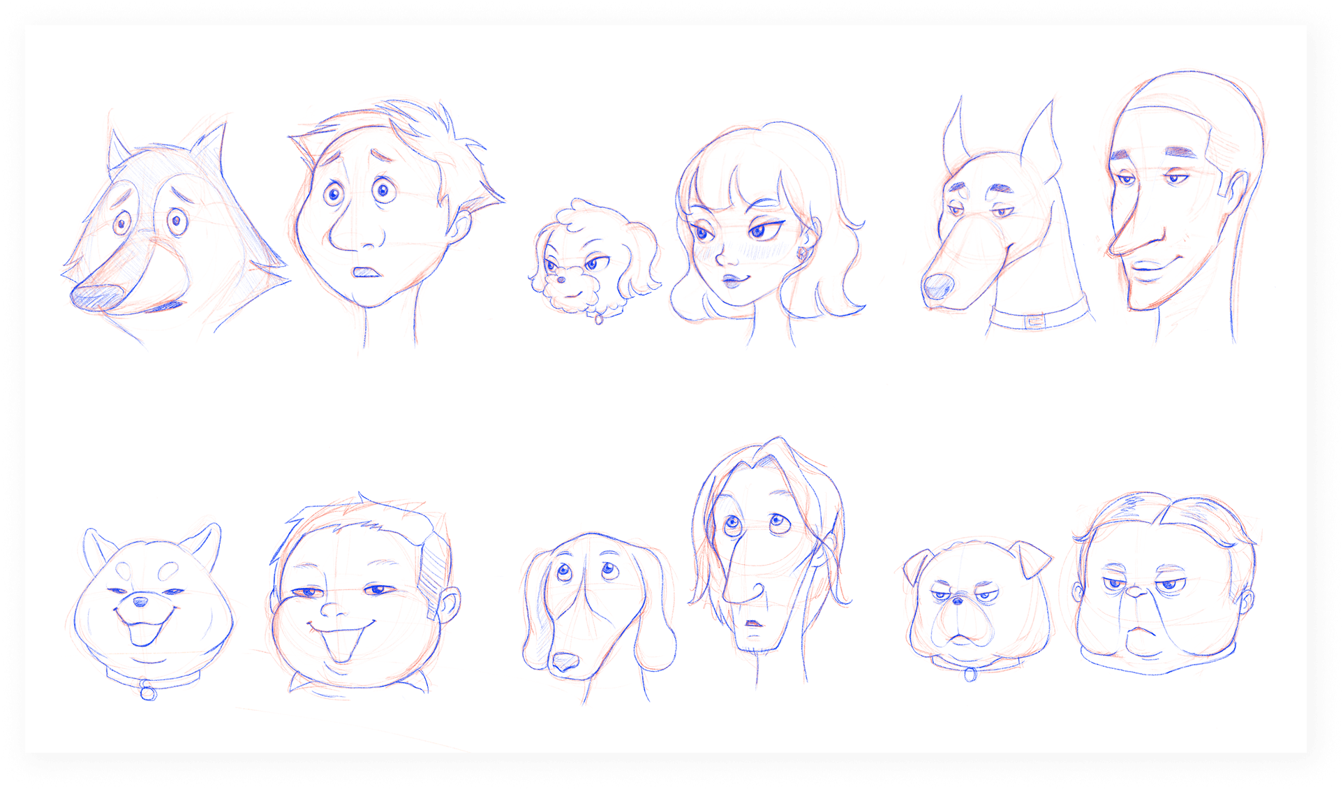 Facial shape studies spanning people and animal characters